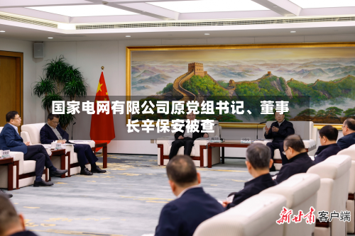 国家电网有限公司原党组书记、董事长辛保安被查