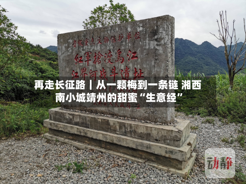 再走长征路｜从一颗梅到一条链 湘西南小城靖州的甜蜜“生意经	”-第2张图片