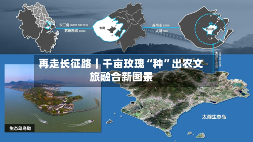 再走长征路｜千亩玫瑰“种”出农文旅融合新图景