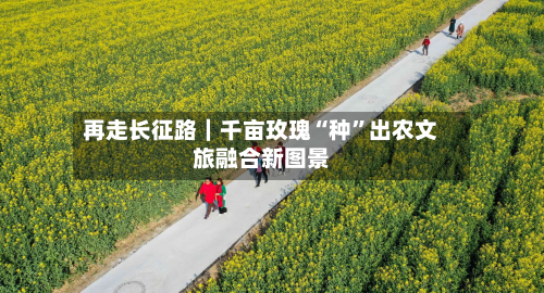 再走长征路｜千亩玫瑰“种	”出农文旅融合新图景-第2张图片
