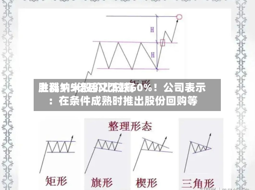 胜科纳米股价比较高
上涨1.5倍后又下跌60%!公司表示:在条件成熟时推出股份回购等