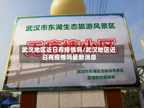 武汉地区近日有疫情吗/武汉地区近日有疫情吗最新消息-第2张图片