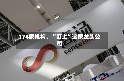 174家机构，“盯上”这家龙头公司-第3张图片