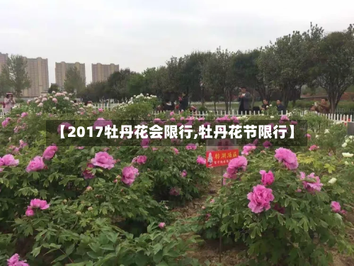 【2017牡丹花会限行,牡丹花节限行】-第2张图片