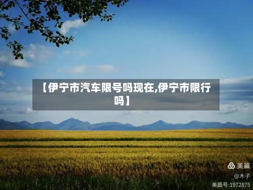 【伊宁市汽车限号吗现在,伊宁市限行吗】-第2张图片
