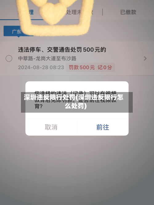 深圳违反限行处罚(深圳违反限行怎么处罚)-第2张图片