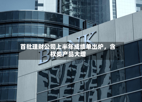 首批理财公司上半年成绩单出炉，含权类产品大增