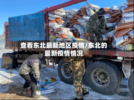 查看东北最新地区疫情/东北的最新疫情情况