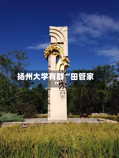扬州大学有群“田管家”-第2张图片