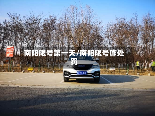 南阳限号第一天/南阳限号咋处罚-第2张图片