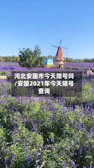 河北安国市今天限号吗/安国2021年今天限号查询