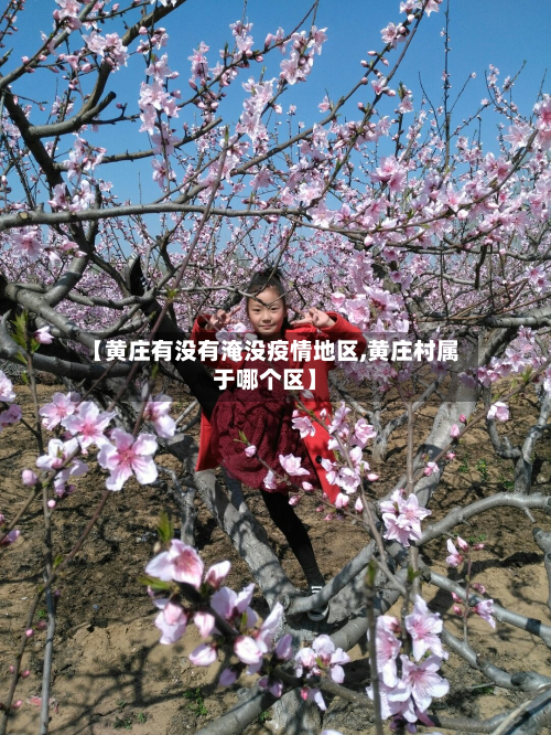 【黄庄有没有淹没疫情地区,黄庄村属于哪个区】-第3张图片