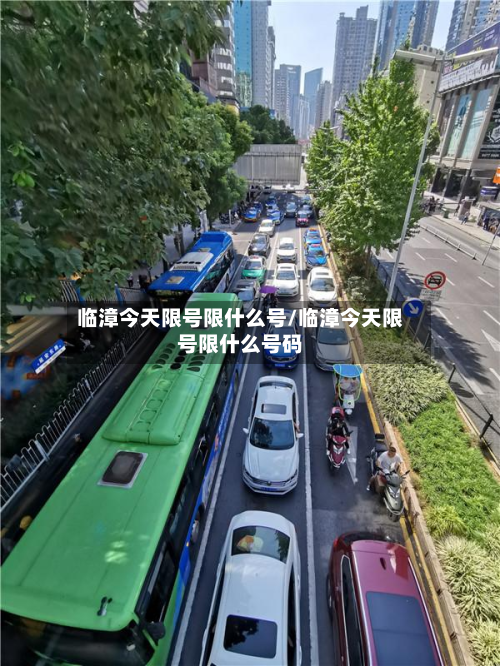 临漳今天限号限什么号/临漳今天限号限什么号码