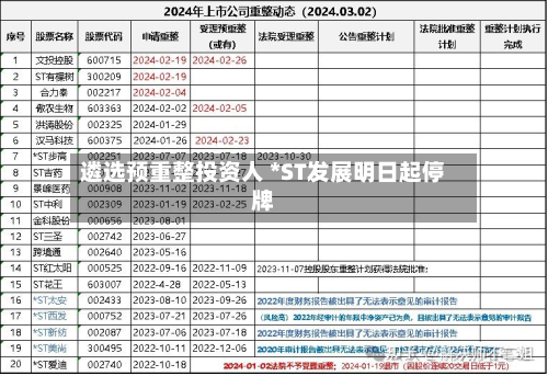 遴选预重整投资人 *ST发展明日起停牌-第3张图片