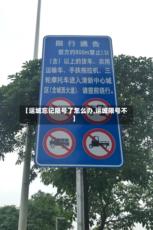 【运城忘记限号了怎么办,运城限号不】-第3张图片