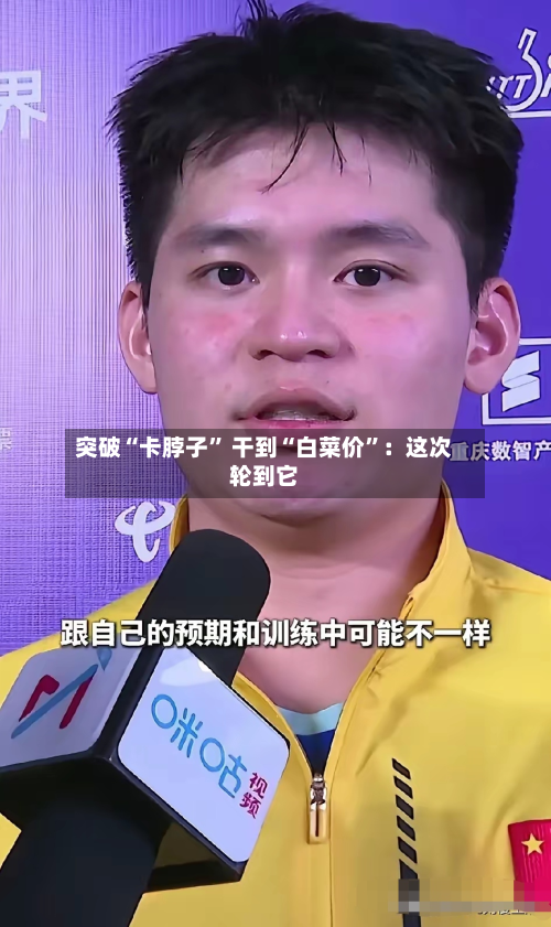 突破“卡脖子” 干到“白菜价”：这次轮到它-第2张图片