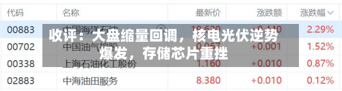 收评：大盘缩量回调，核电光伏逆势爆发，存储芯片重挫-第2张图片
