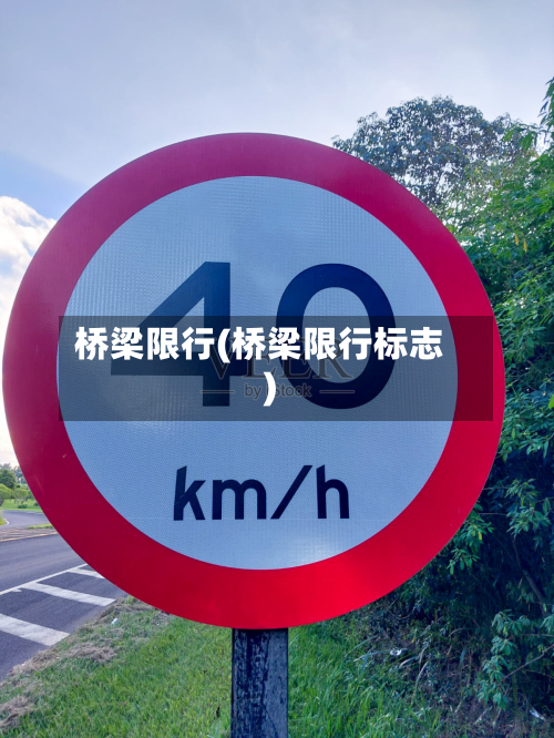 桥梁限行(桥梁限行标志)-第3张图片