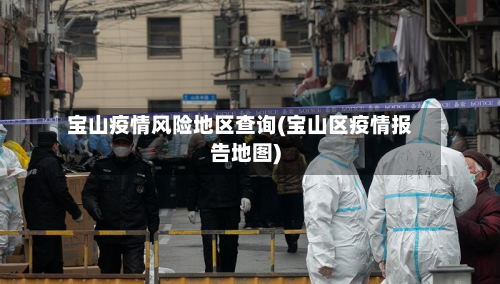 宝山疫情风险地区查询(宝山区疫情报告地图)-第3张图片