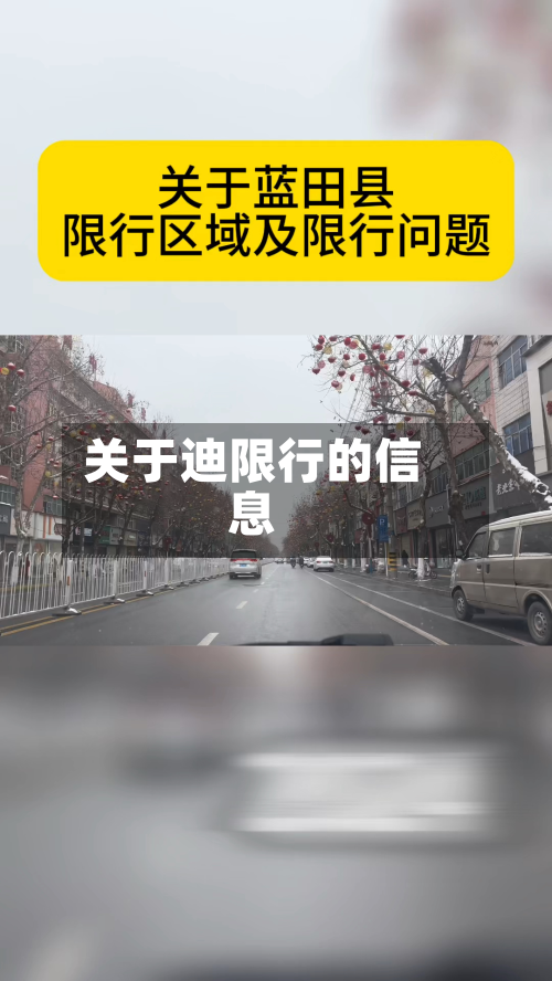关于迪限行的信息
