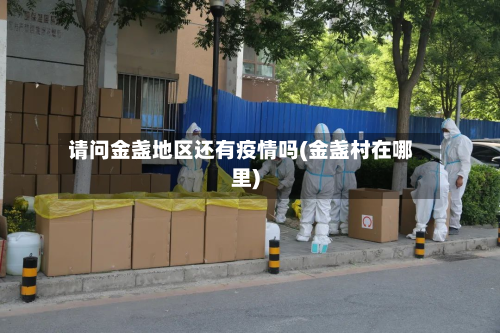 请问金盏地区还有疫情吗(金盏村在哪里)-第3张图片