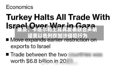 埃及、卡塔尔和土耳其发表联合声明 谴责以色列在加沙侵犯行为-第2张图片