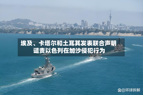 埃及	、卡塔尔和土耳其发表联合声明 谴责以色列在加沙侵犯行为-第3张图片