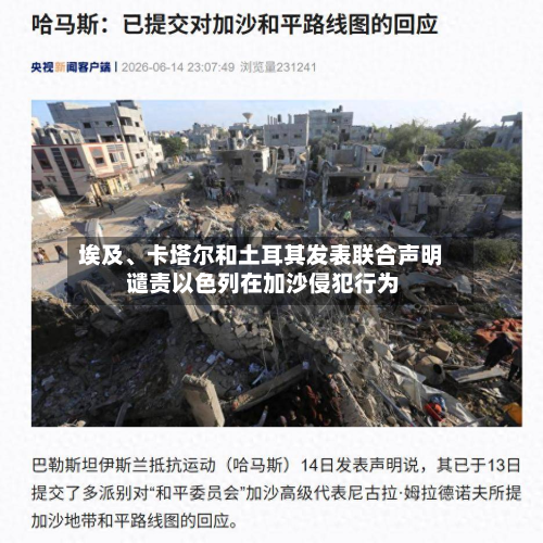 埃及、卡塔尔和土耳其发表联合声明 谴责以色列在加沙侵犯行为