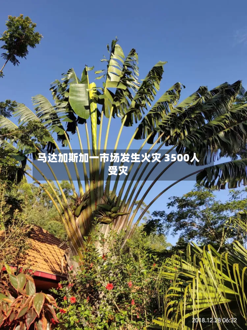 马达加斯加一市场发生火灾 3500人受灾