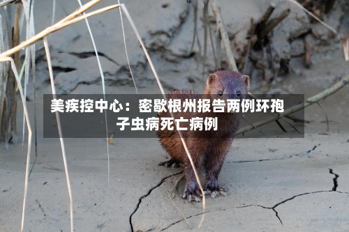 美疾控中心：密歇根州报告两例环孢子虫病死亡病例