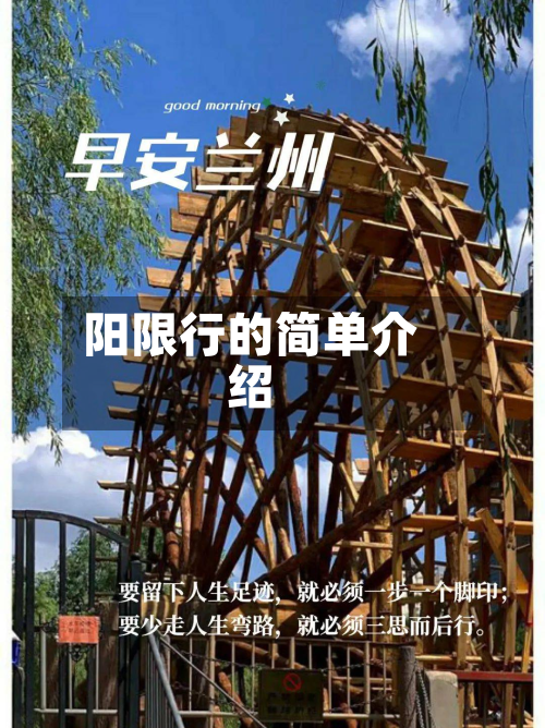 阳限行的简单介绍-第3张图片