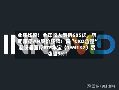 业绩炸裂！全年收入剑指605亿，药明康德AH股价狂飙！高“CXO含量”港股通医疗ETF华宝（159137）暴涨超5%！