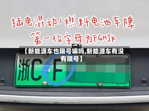 【新能源车也限号嘛吗,新能源车有没有限号】-第3张图片