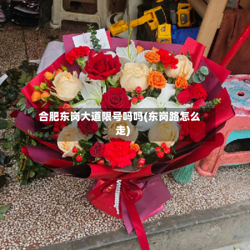 合肥东岗大道限号吗吗(东岗路怎么走)