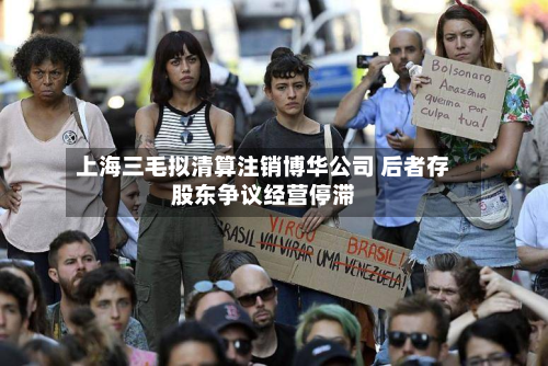 上海三毛拟清算注销博华公司 后者存股东争议经营停滞