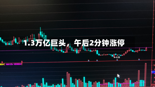 1.3万亿巨头	，午后2分钟涨停-第3张图片