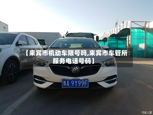 【来宾市机动车限号吗,来宾市车管所服务电话号码】