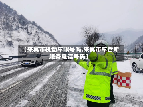 【来宾市机动车限号吗,来宾市车管所服务电话号码】-第3张图片