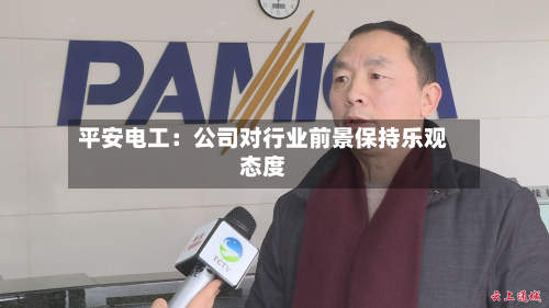 平安电工：公司对行业前景保持乐观态度-第1张图片