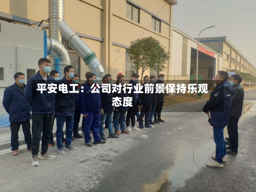 平安电工：公司对行业前景保持乐观态度-第2张图片