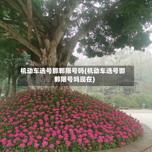 机动车选号邯郸限号吗(机动车选号邯郸限号吗现在)