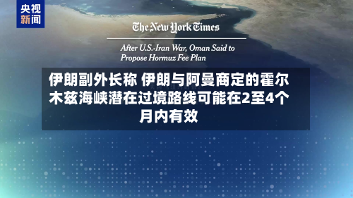 伊朗副外长称 伊朗与阿曼商定的霍尔木兹海峡潜在过境路线可能在2至4个月内有效