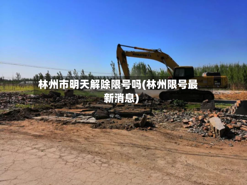 林州市明天解除限号吗(林州限号最新消息)-第2张图片