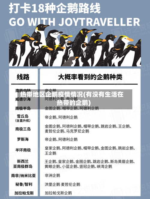 热带地区企鹅疫情情况(有没有生活在热带的企鹅)-第3张图片