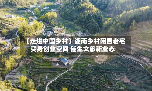 （走进中国乡村）湖南乡村闲置老宅变身创业空间 催生文旅新业态