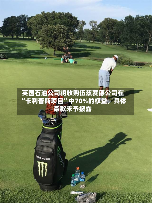 英国石油公司将收购伍兹赛德公司在“卡利普斯项目”中70%的权益，具体条款未予披露-第2张图片
