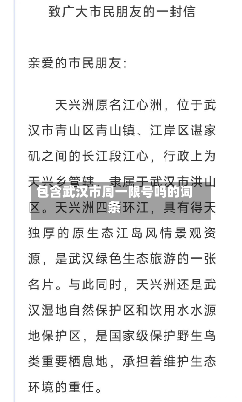 包含武汉市周一限号吗的词条-第2张图片