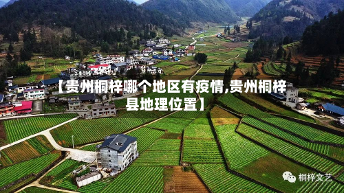 【贵州桐梓哪个地区有疫情,贵州桐梓县地理位置】-第3张图片
