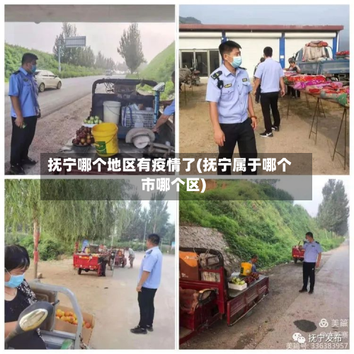 抚宁哪个地区有疫情了(抚宁属于哪个市哪个区)-第2张图片