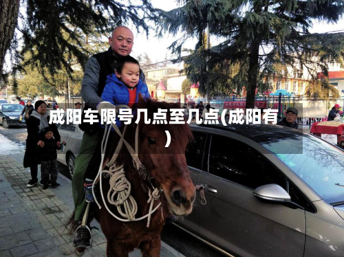成阳车限号几点至几点(成阳有)-第2张图片